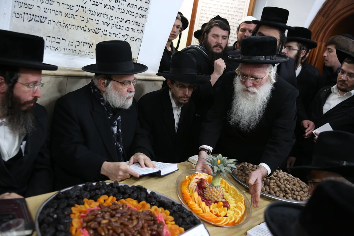 כך ציינו ט"ו בשבט בציון הרשב"י במירון. צפו