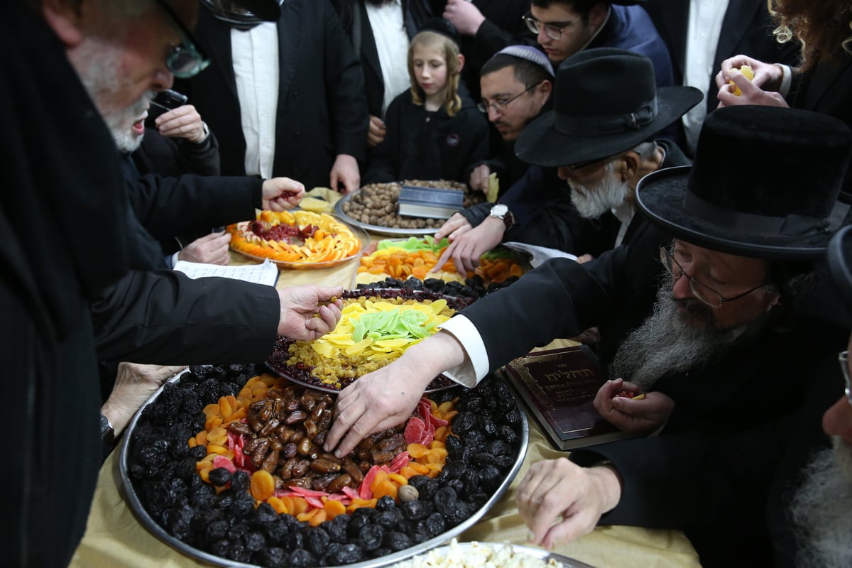 כך ציינו ט"ו בשבט בציון הרשב"י במירון. צפו