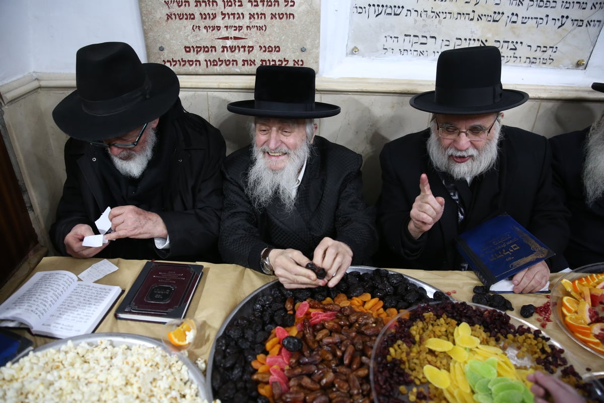 כך ציינו ט"ו בשבט בציון הרשב"י במירון. צפו