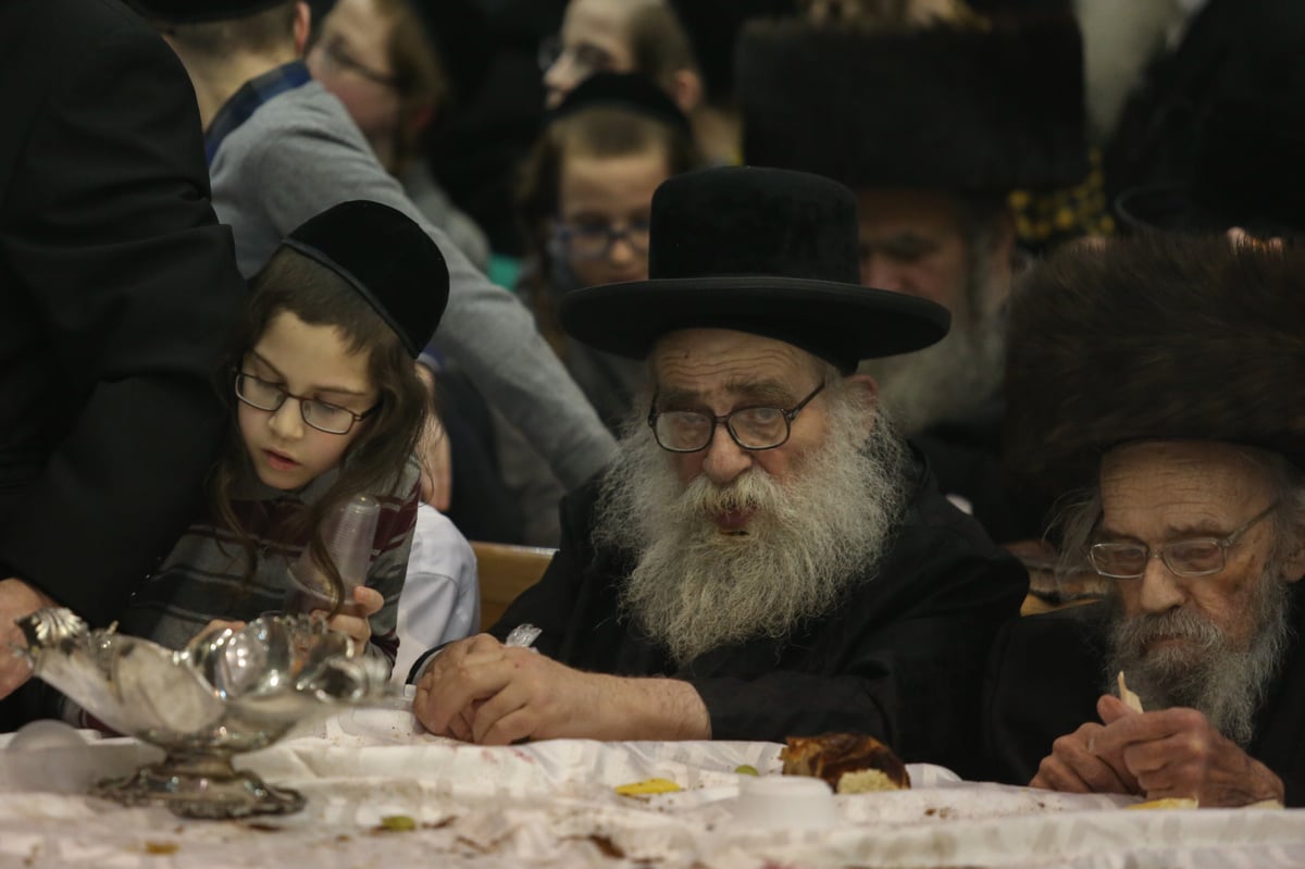 תיעוד צבעוני: ה'פירות טיש' בחסידות בעלזא