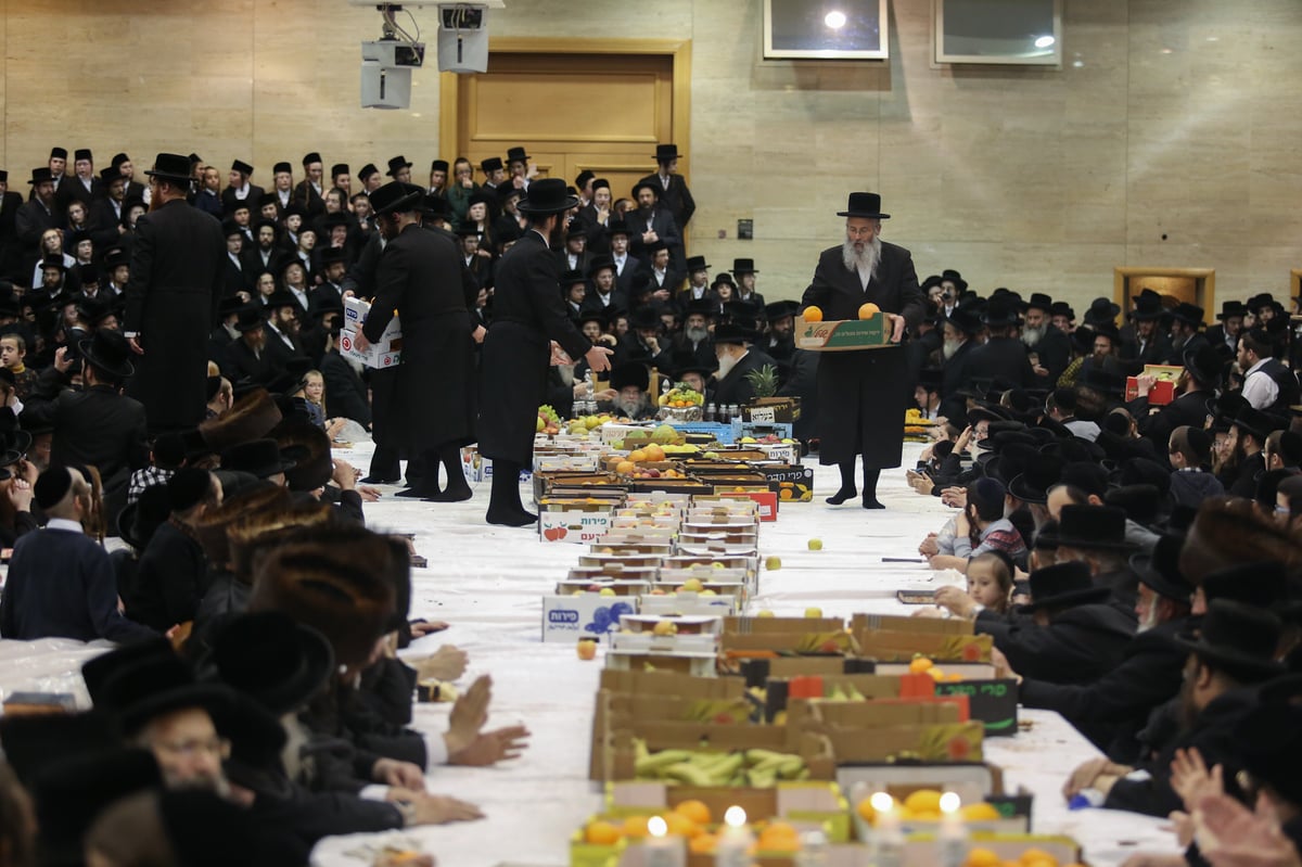 תיעוד צבעוני: ה'פירות טיש' בחסידות בעלזא