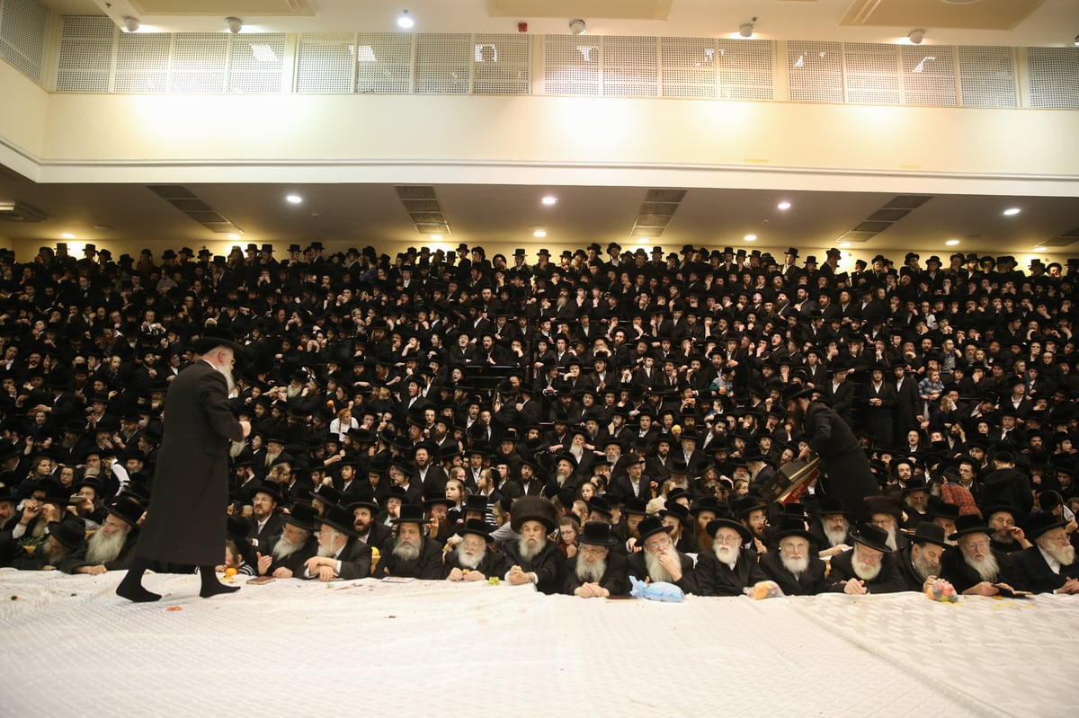 תיעוד צבעוני: ה'פירות טיש' בחסידות בעלזא