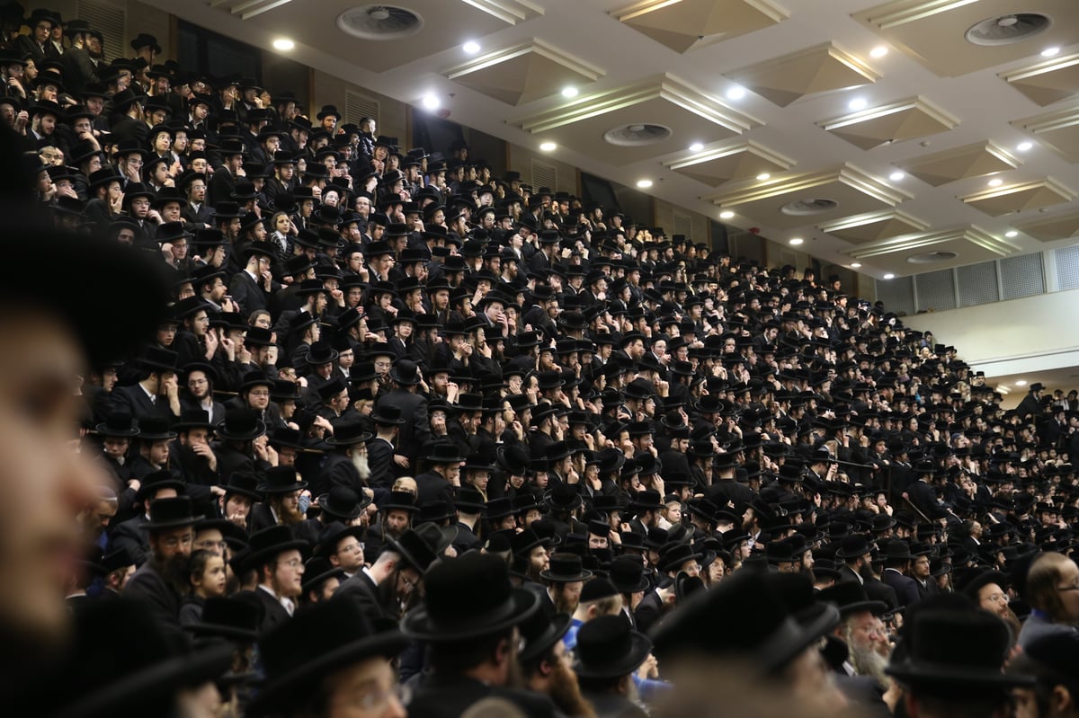 תיעוד צבעוני: ה'פירות טיש' בחסידות בעלזא