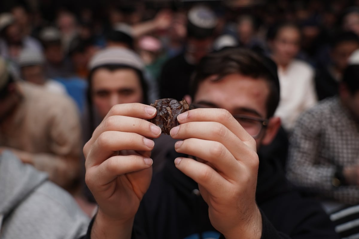 צפו: יונתן רזאל בטוויסט מדליק לט"ו בשבט