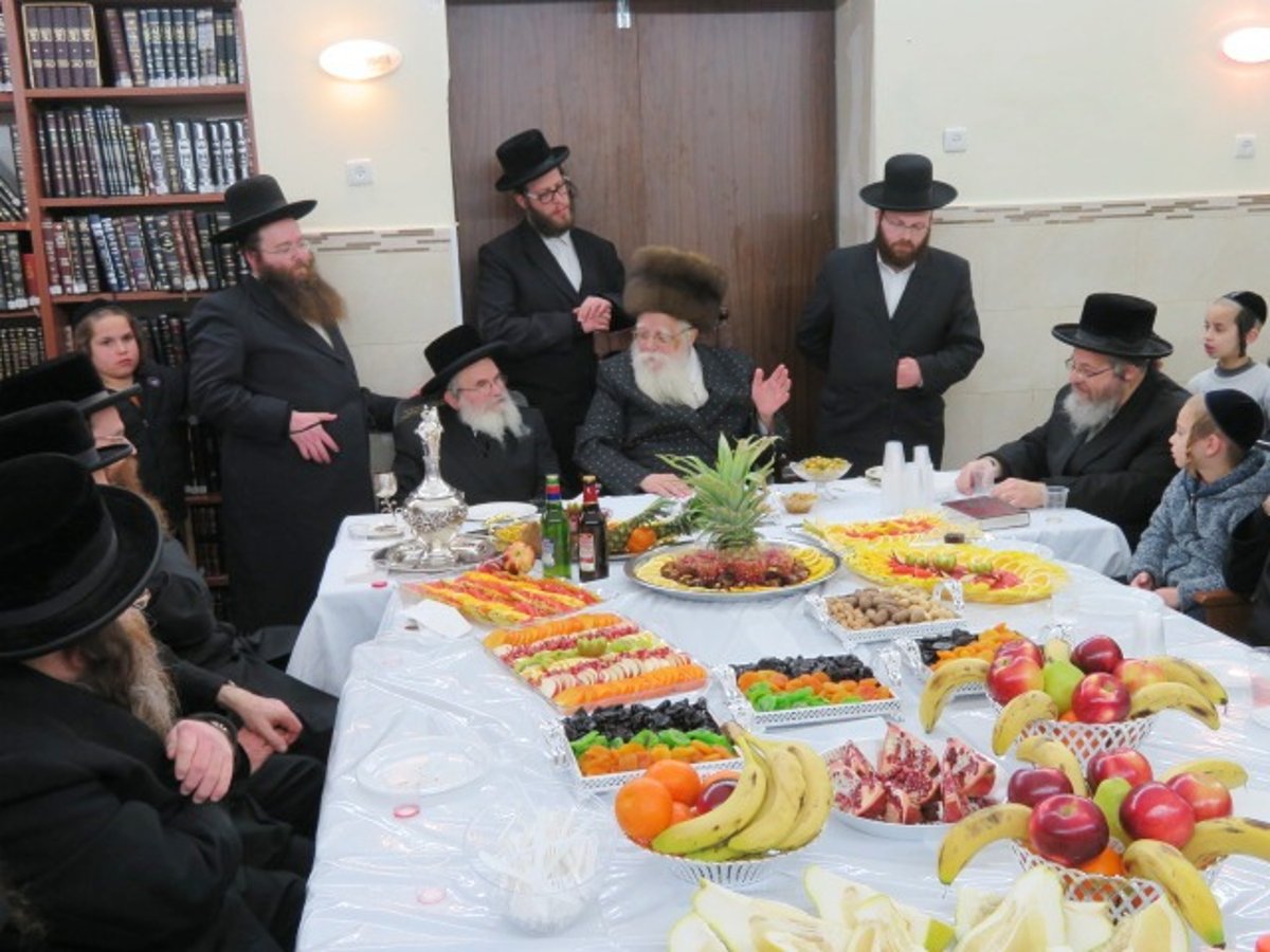 טיש ט"ו בשבט בשאץ ויז'ניץ ובנדבורנה - חיפה