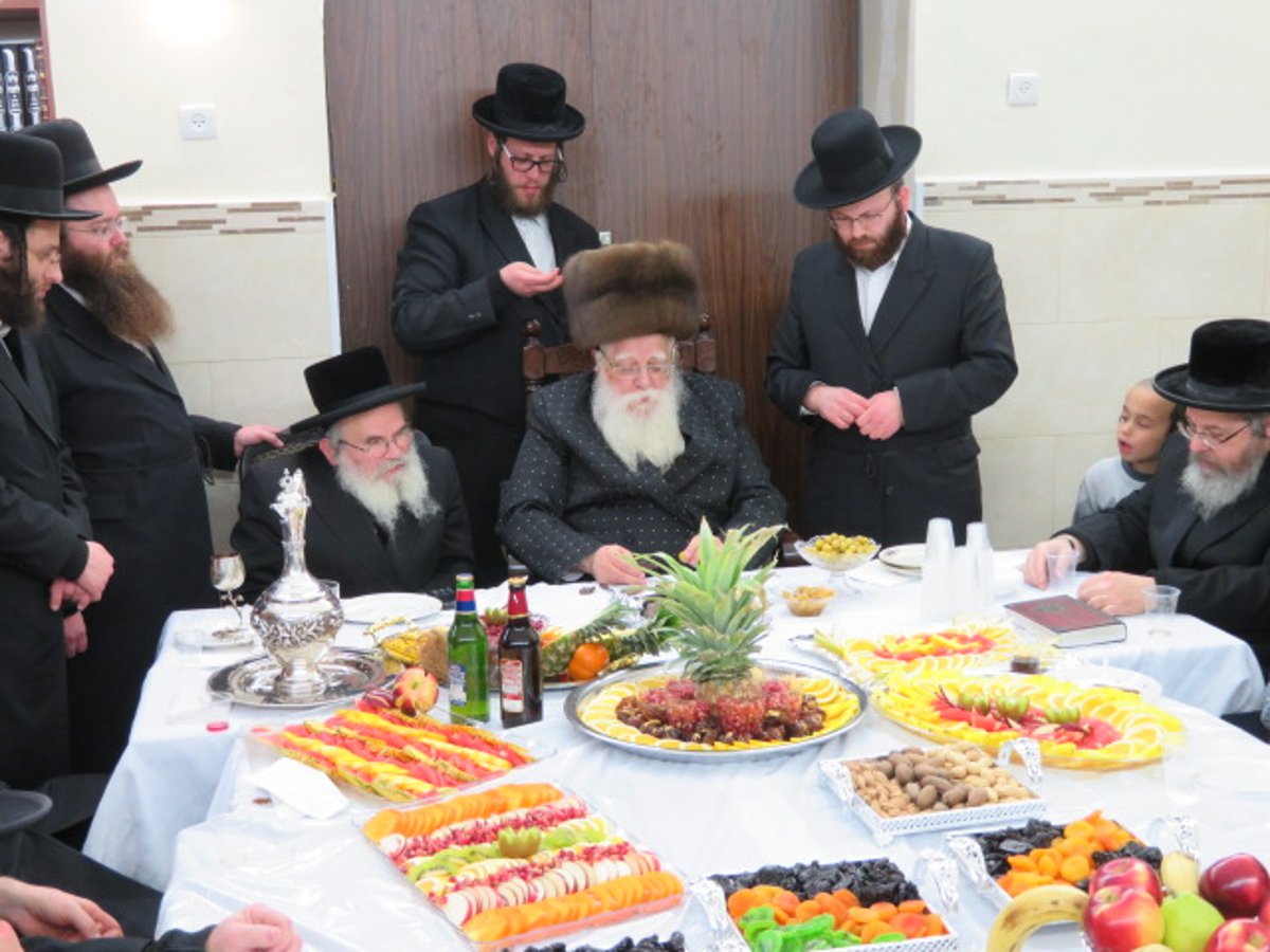 טיש ט"ו בשבט בשאץ ויז'ניץ ובנדבורנה - חיפה