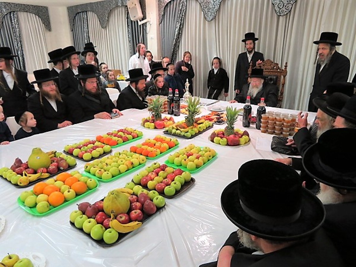 טיש ט"ו בשבט בשאץ ויז'ניץ ובנדבורנה - חיפה