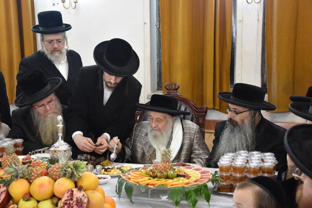 טיש ט"ו בשבט בספינקא ב"ב ובחצר אשלג