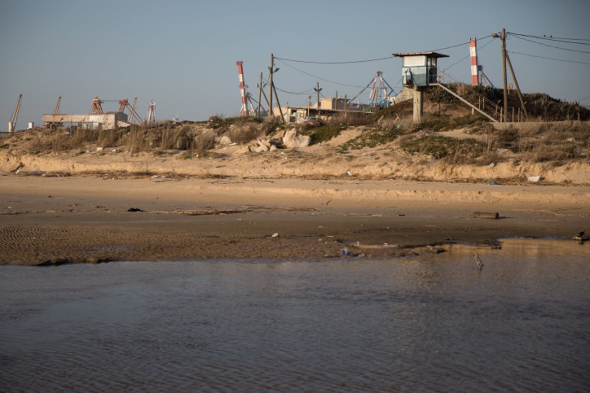 ים חורפי בחופי אשדוד ושפך לכיש • גלריה