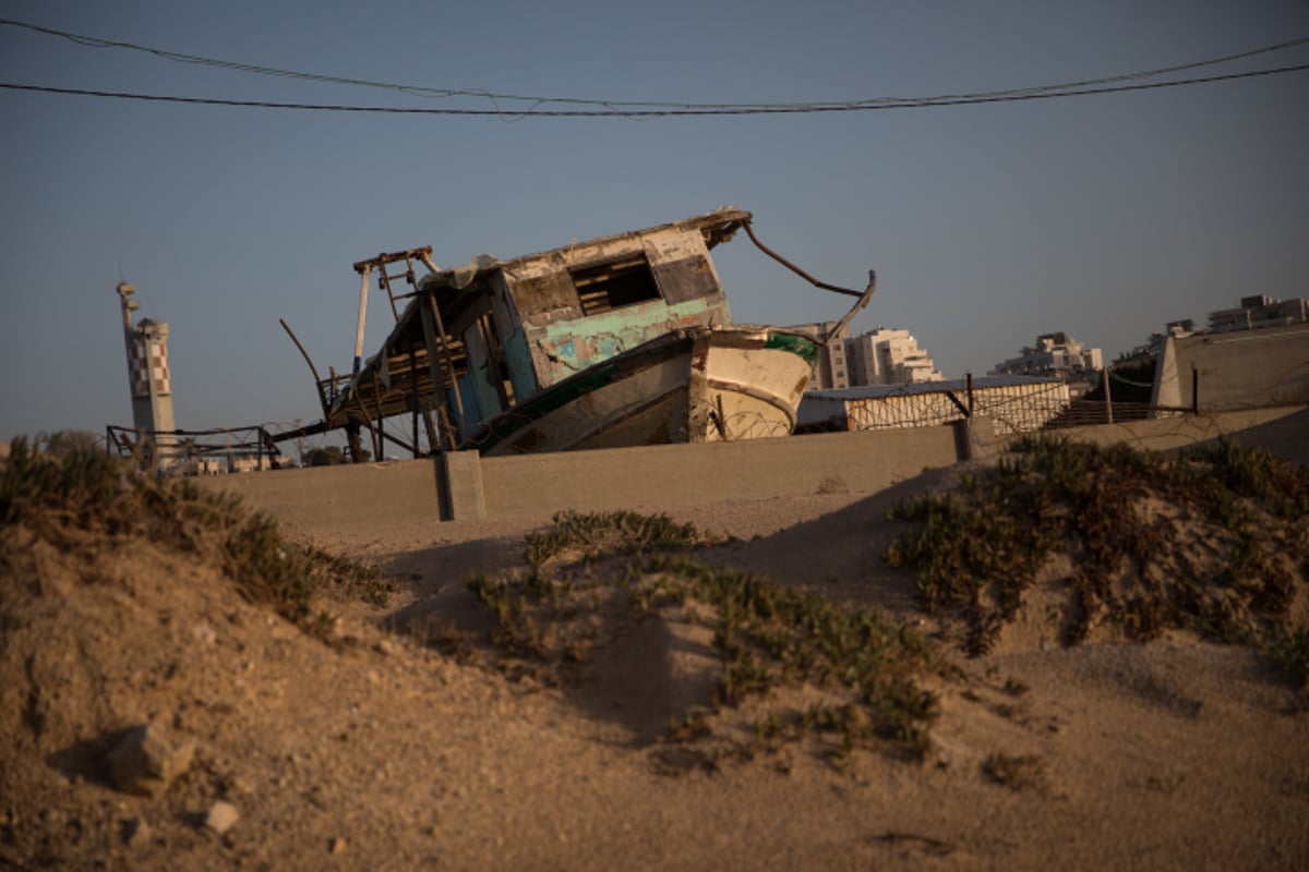 ים חורפי בחופי אשדוד ושפך לכיש • גלריה