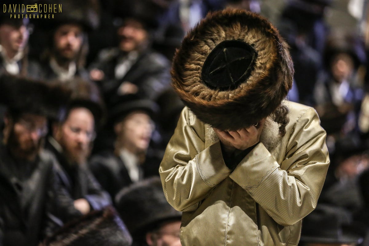 המשפיע 'ר' מיילך' בידרמן הקפיץ את חסידיו. תיעוד