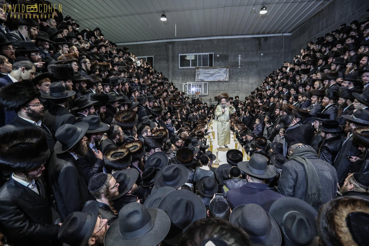 המשפיע 'ר' מיילך' בידרמן הקפיץ את חסידיו. תיעוד