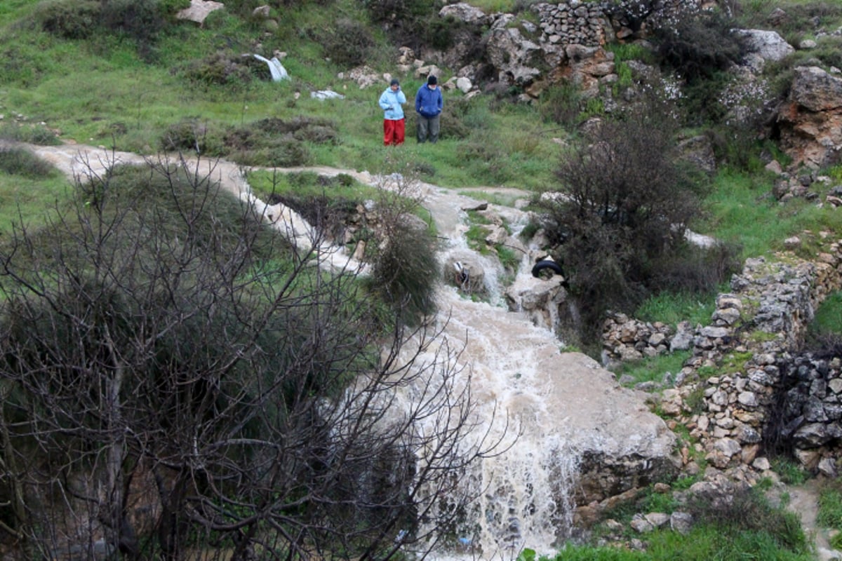 זרימה עזה בנחל הפירים בגוש עציון