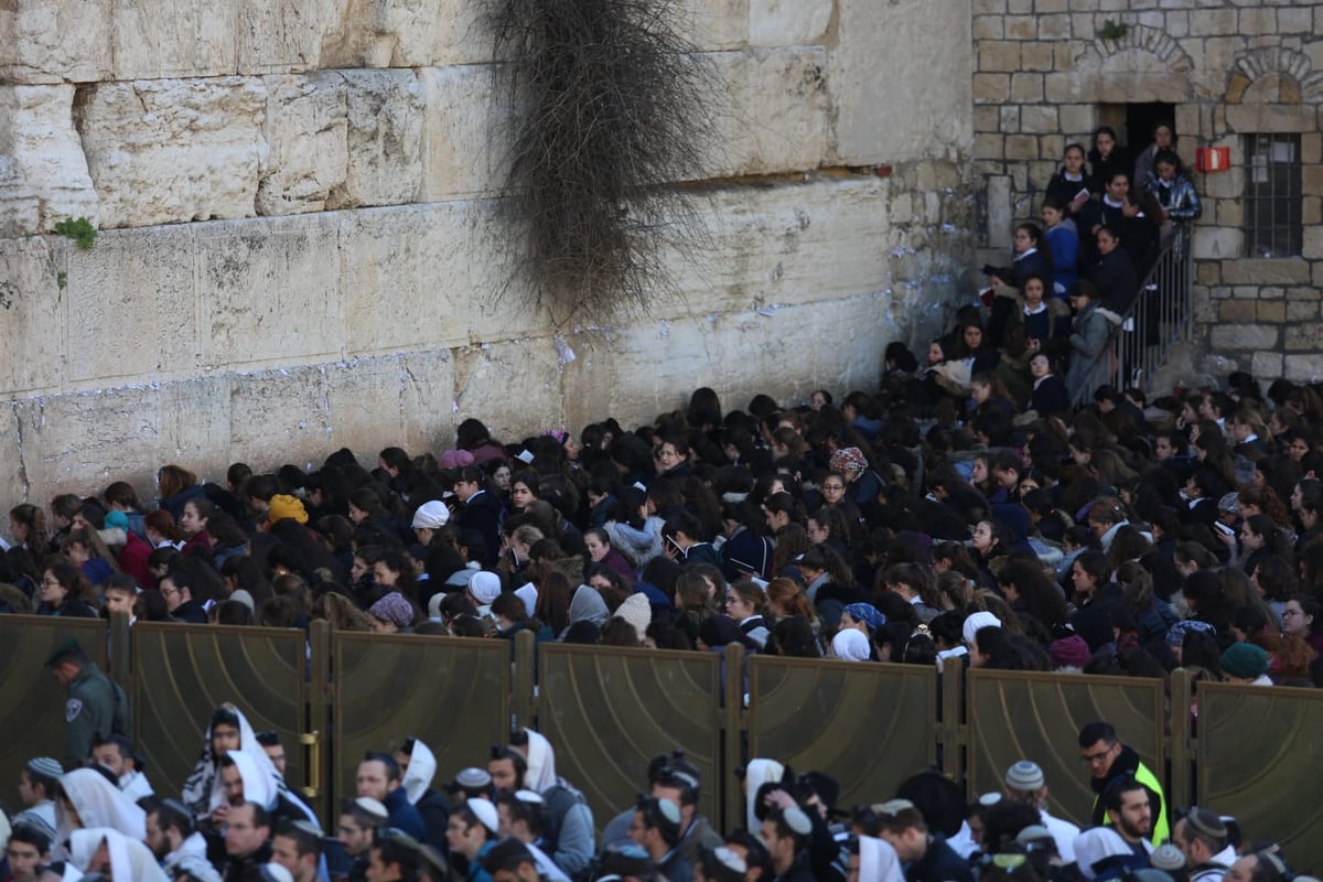 אלפים רבים הגיעו לתפילה בכותל: כנגד נשות הפרובוקציה