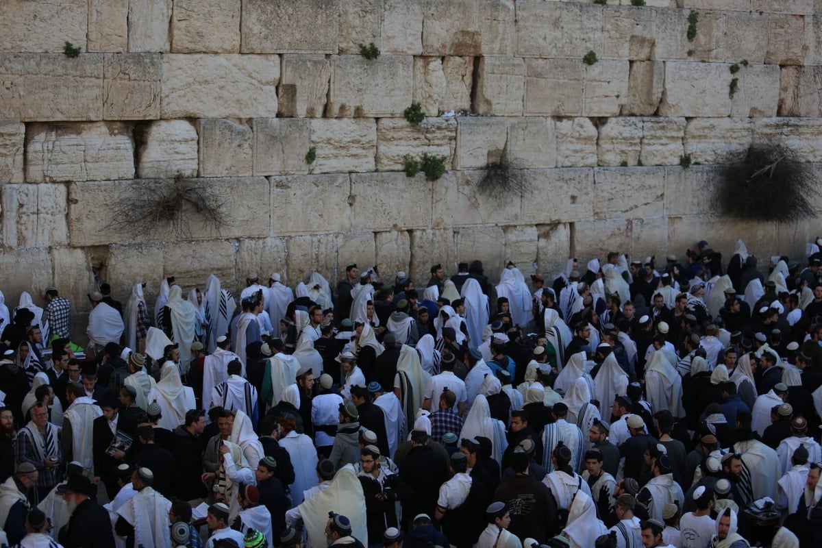 אלפים רבים הגיעו לתפילה בכותל: כנגד נשות הפרובוקציה