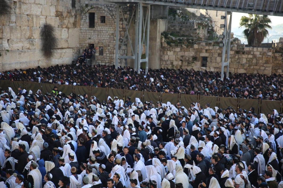 אלפים רבים הגיעו לתפילה בכותל: כנגד נשות הפרובוקציה