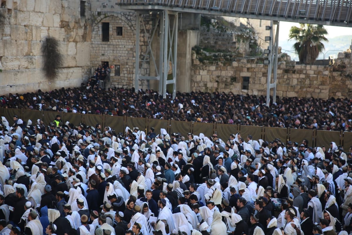 אלפים רבים הגיעו לתפילה בכותל: כנגד נשות הפרובוקציה