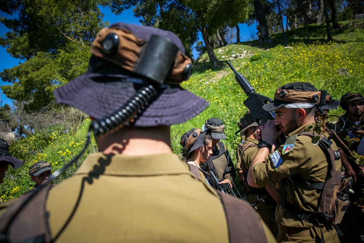 שישי, בעיר העתיקה בצפת: חיילים ונגנים