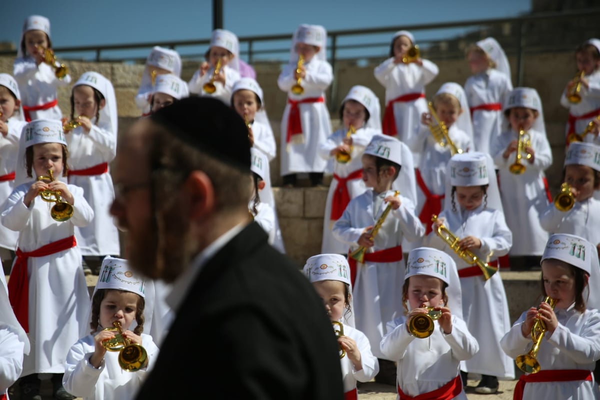 מדהים: ילדי המכינה התחפשו ללווים. צפו