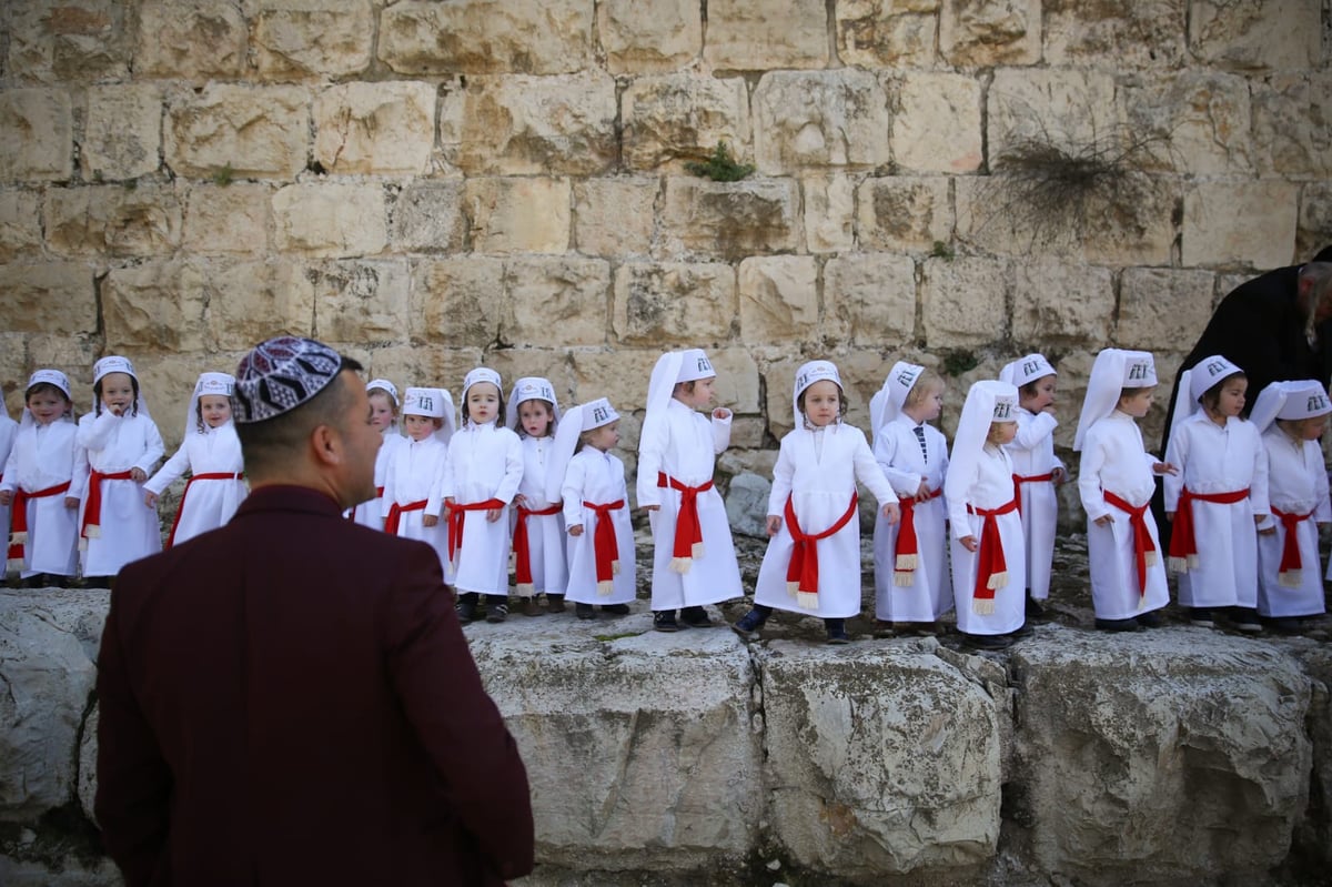 מדהים: ילדי המכינה התחפשו ללווים. צפו