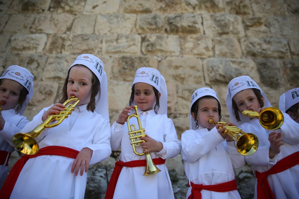 מדהים: ילדי המכינה התחפשו ללווים. צפו