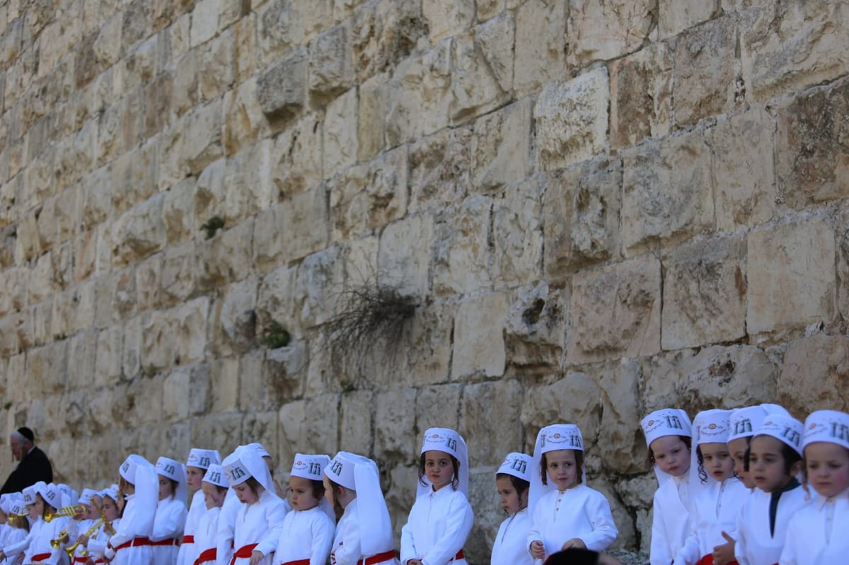 מדהים: ילדי המכינה התחפשו ללווים. צפו