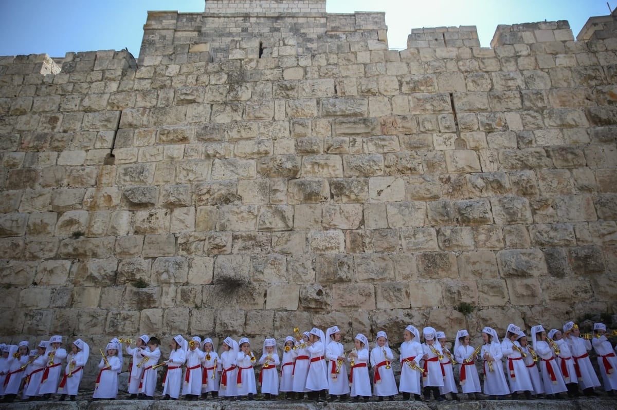 מדהים: ילדי המכינה התחפשו ללווים. צפו