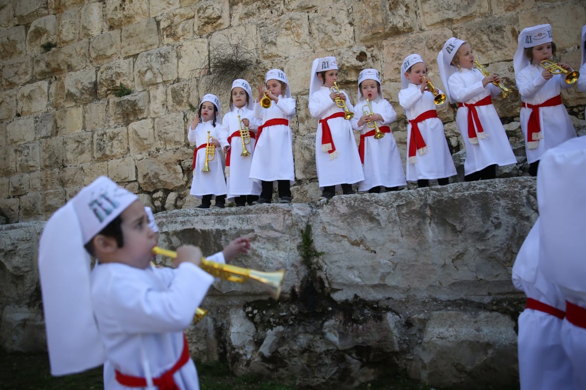 מדהים: ילדי המכינה התחפשו ללווים. צפו