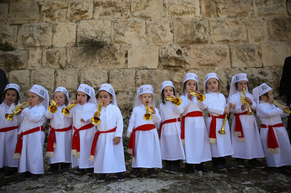 מדהים: ילדי המכינה התחפשו ללווים. צפו