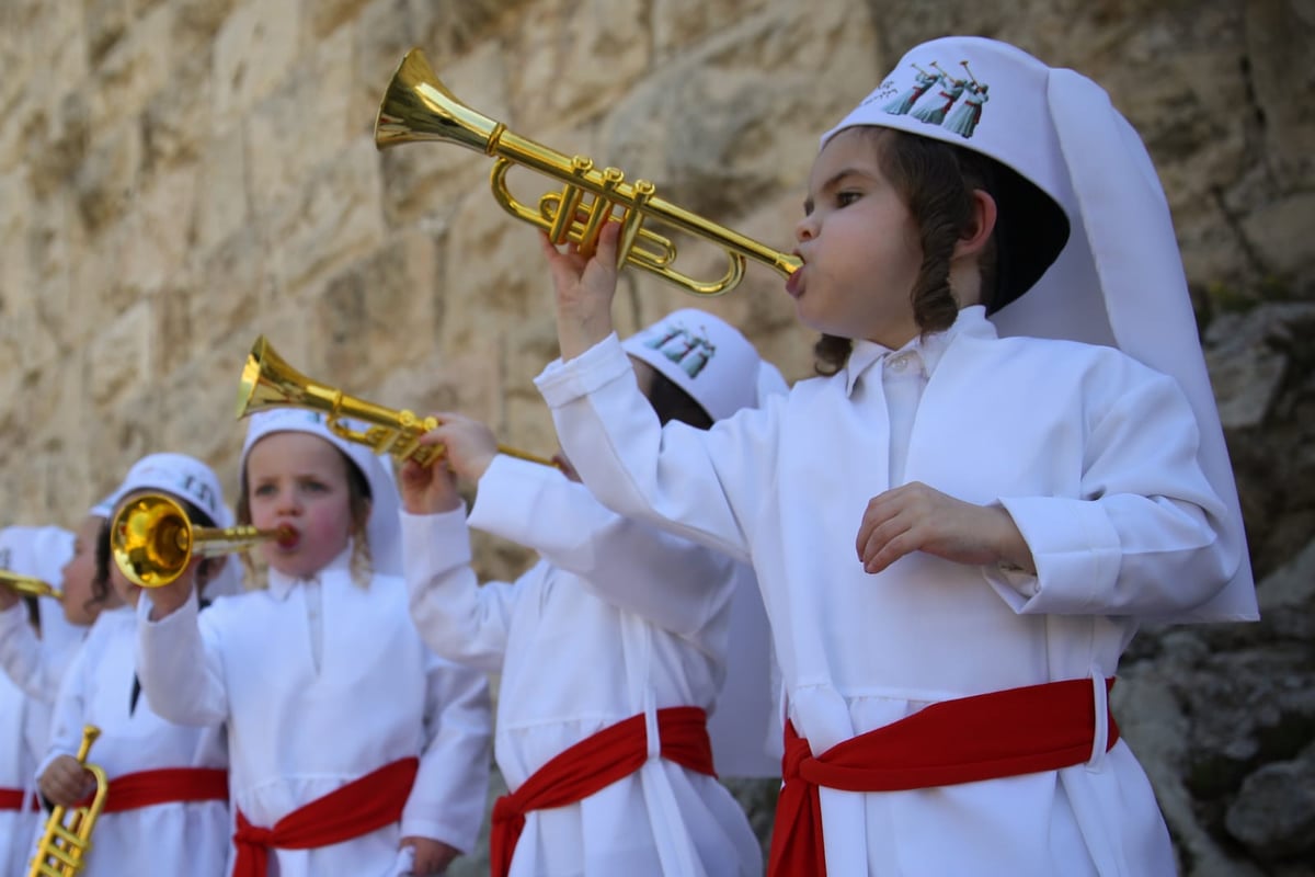 מדהים: ילדי המכינה התחפשו ללווים. צפו