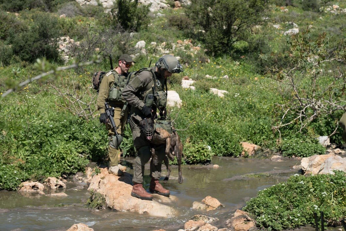 כך נראה המרדף אחר המחבל מהפיגוע באריאל. צפו