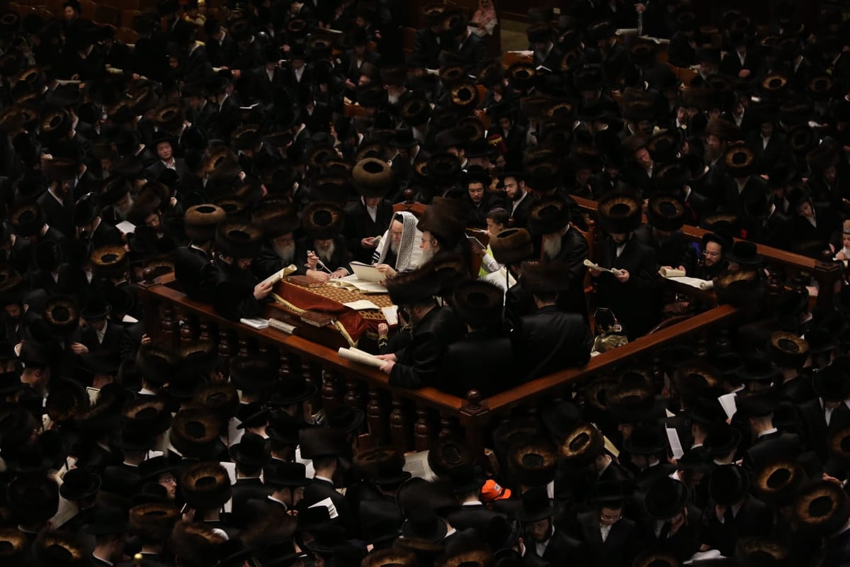 האדמו"ר מבעלזא בקריאת המגילה • תיעוד