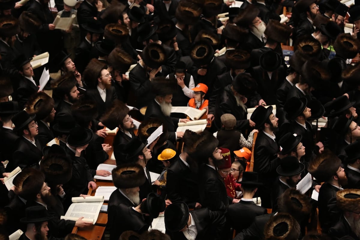 האדמו"ר מבעלזא בקריאת המגילה • תיעוד