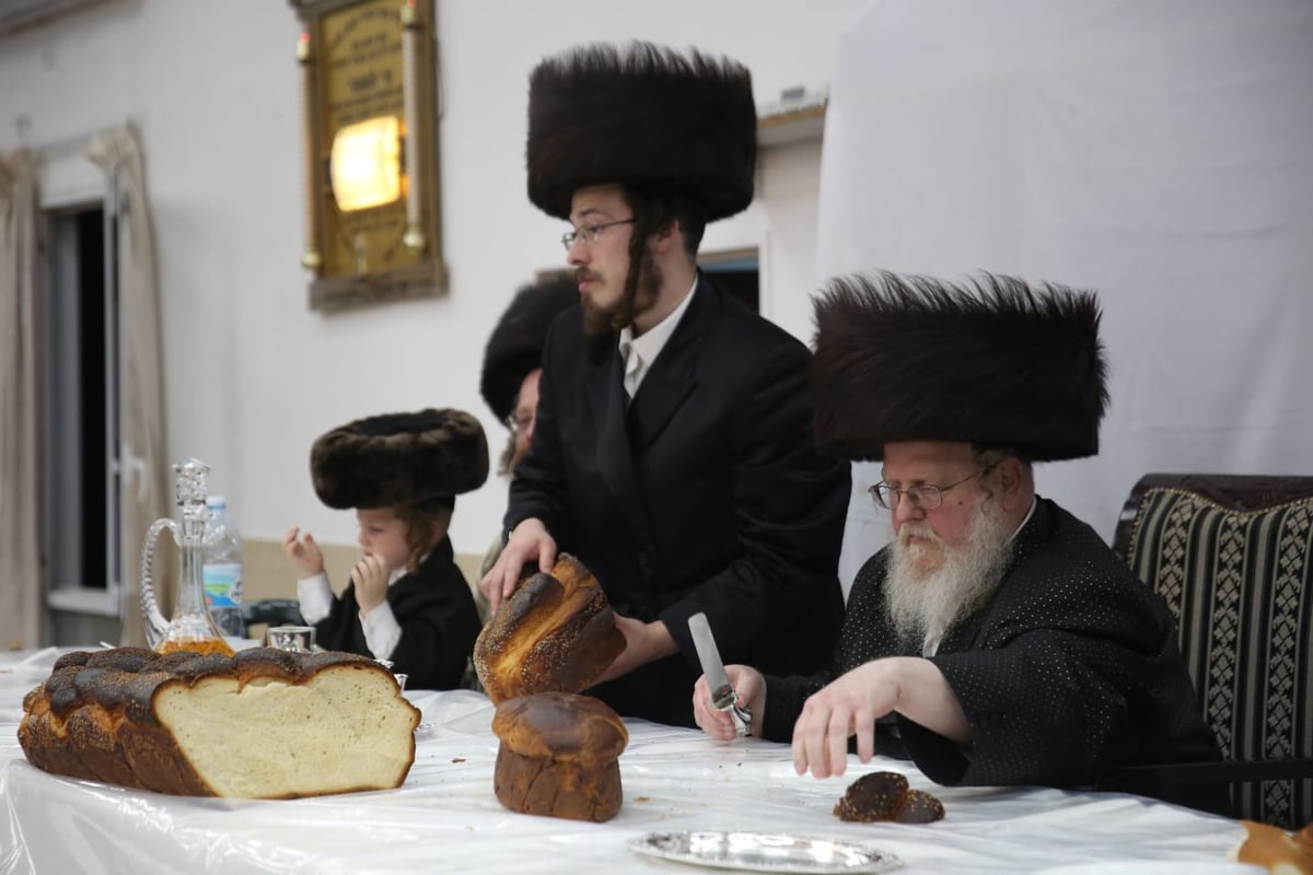 חגיגות פורים ברחובות העיר בני ברק. תיעוד