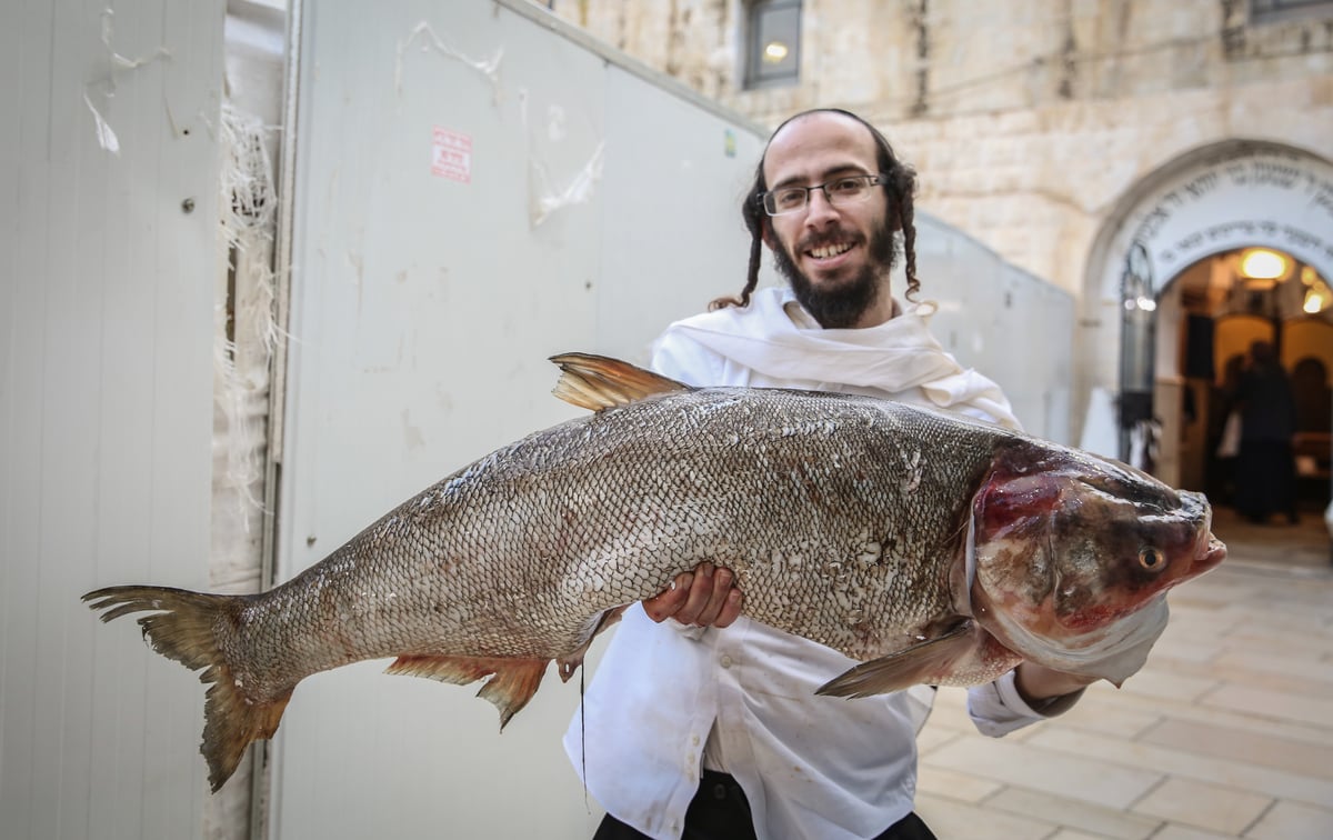 כך חוגגים את פורים בציון הרשב"י במירון