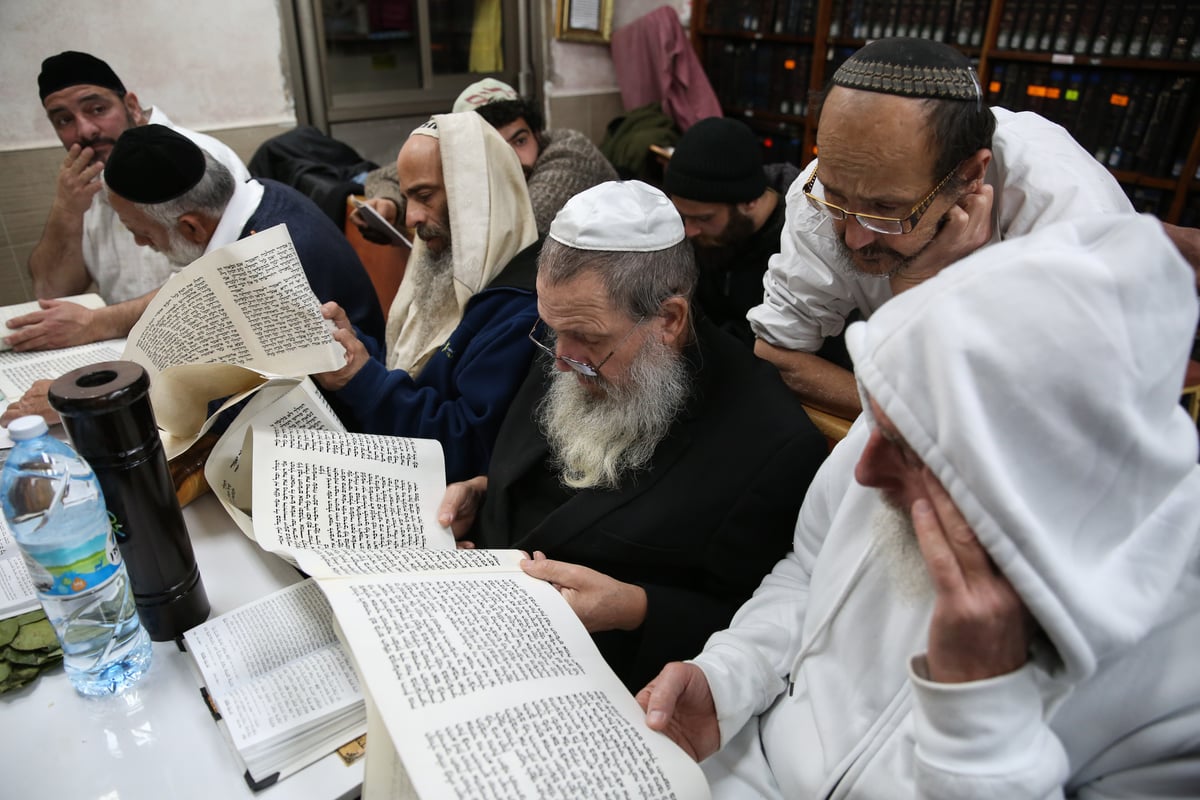 כך חוגגים את פורים בציון הרשב"י במירון