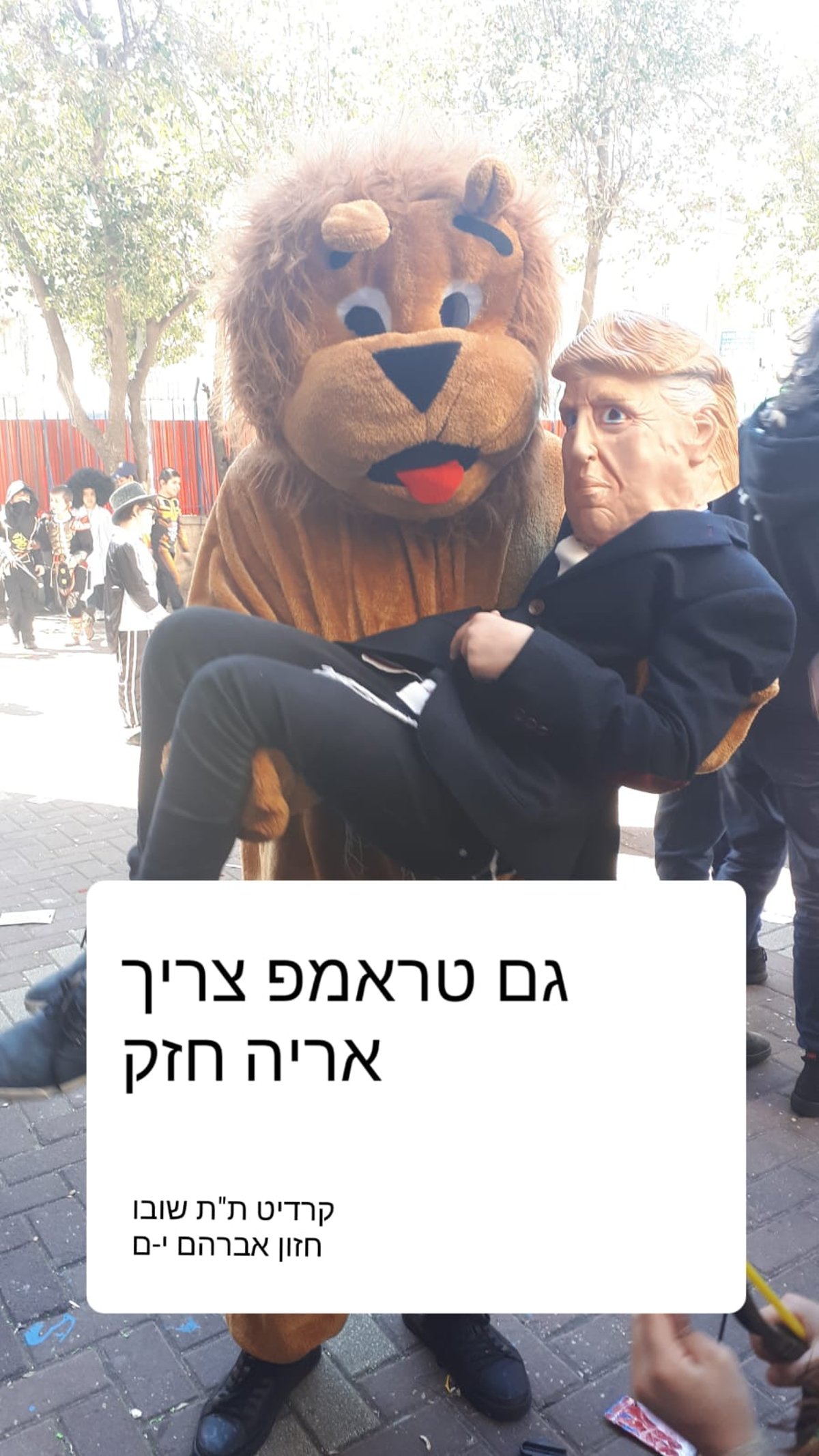 טראמפ ואריה חזק