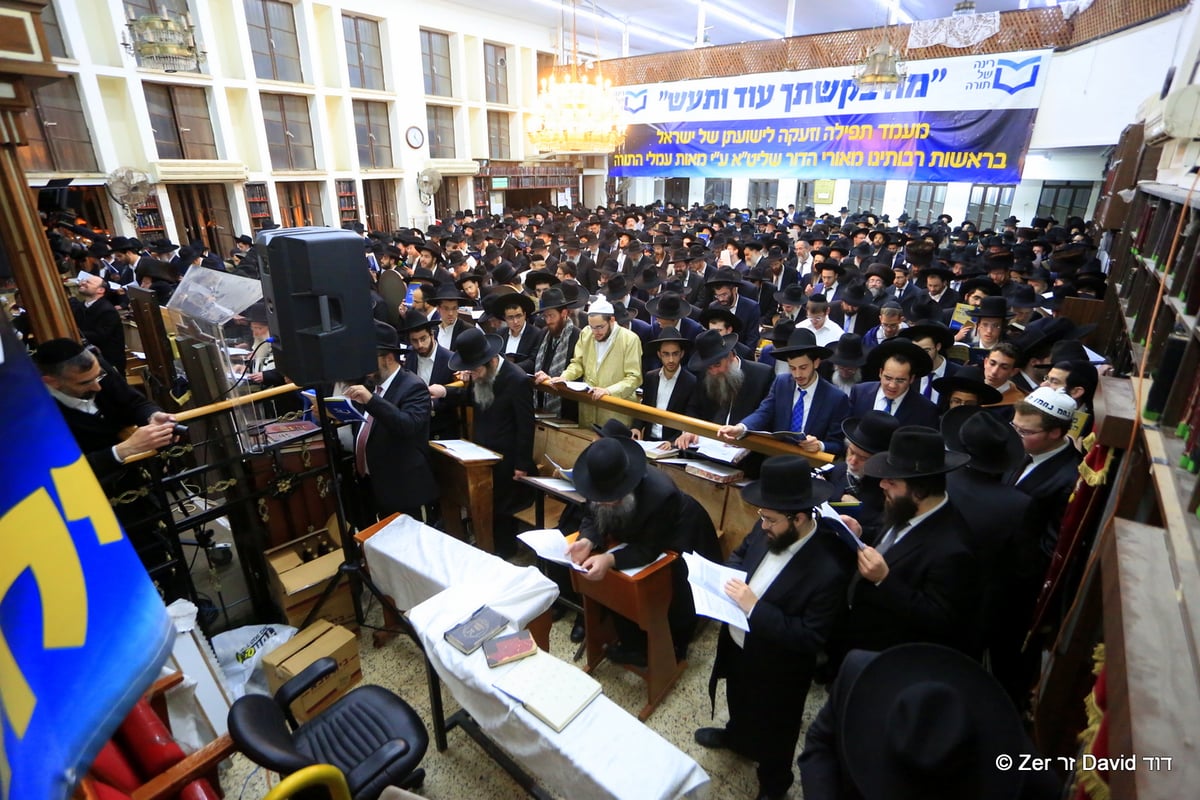 אלפים במעמדות התפילה שע"י "רינה של תורה" בחצות לילי הפורים