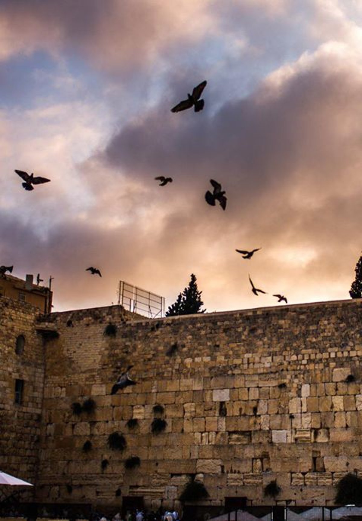 ירושלים חורפית: צפו בגלריה היפהפייה