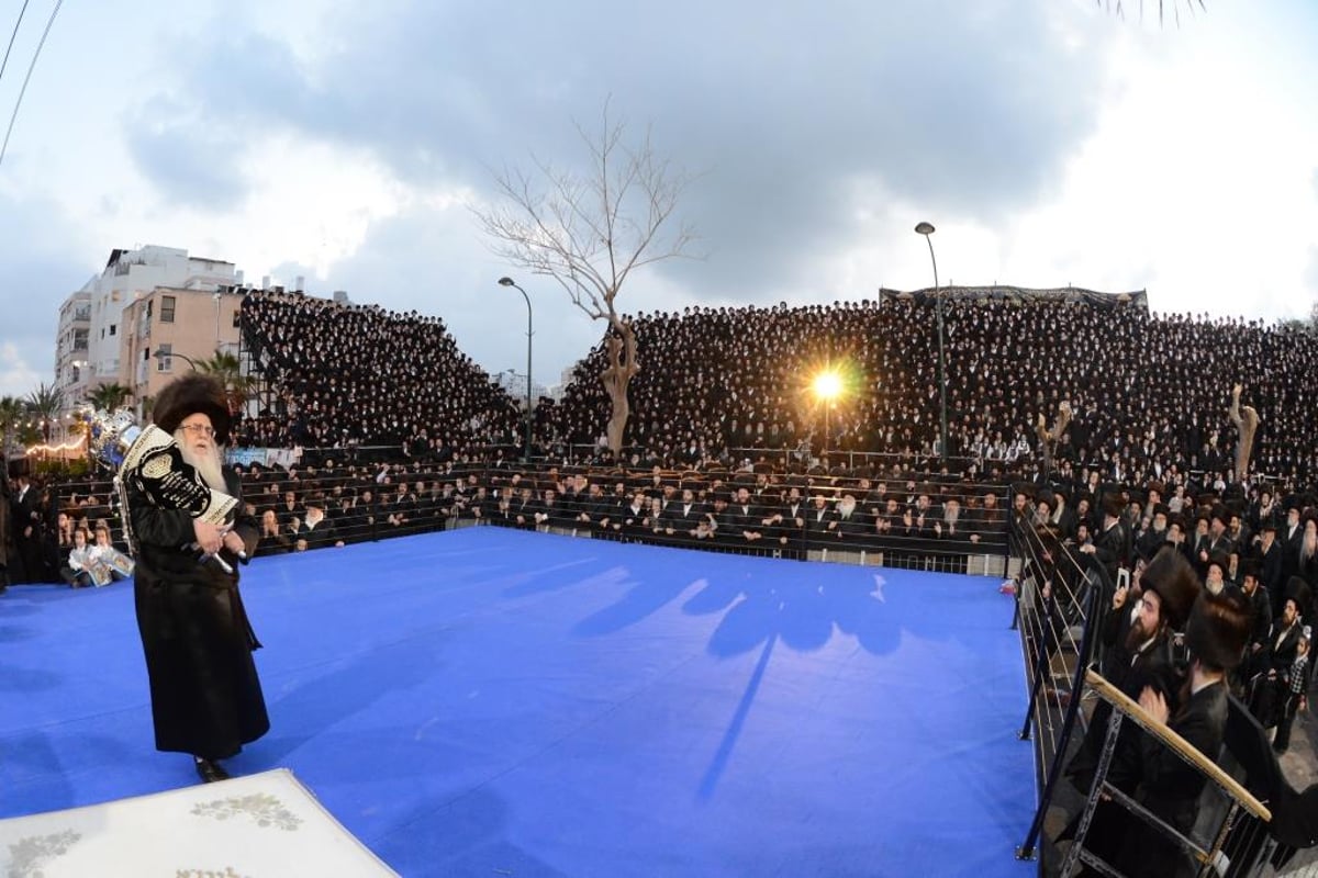 צאנז לבשה חג: תיעוד הכינוס והכנסת ספר תורה