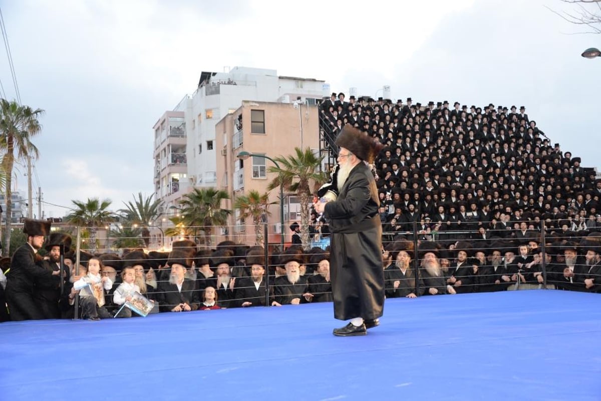 צאנז לבשה חג: תיעוד הכינוס והכנסת ספר תורה