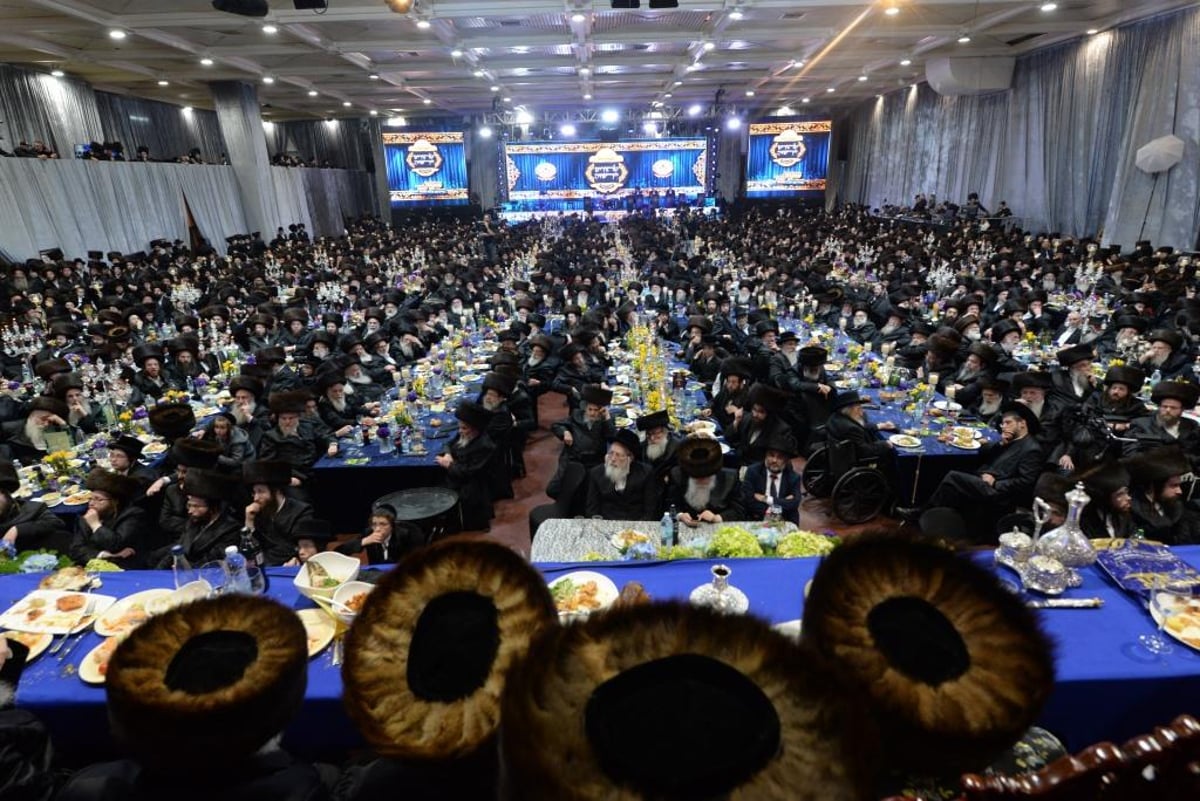 צאנז לבשה חג: תיעוד הכינוס והכנסת ספר תורה