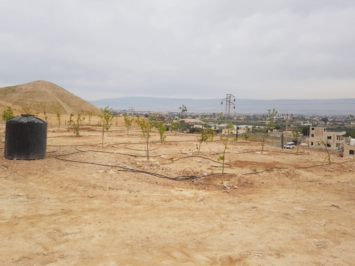 מזעזע: ערבים מיריחו בזזו את מערת הקבורה