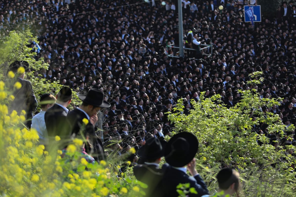 שידור חוזר: האדמו"ר מגור ומרן שר התורה על במה אחת • צפו