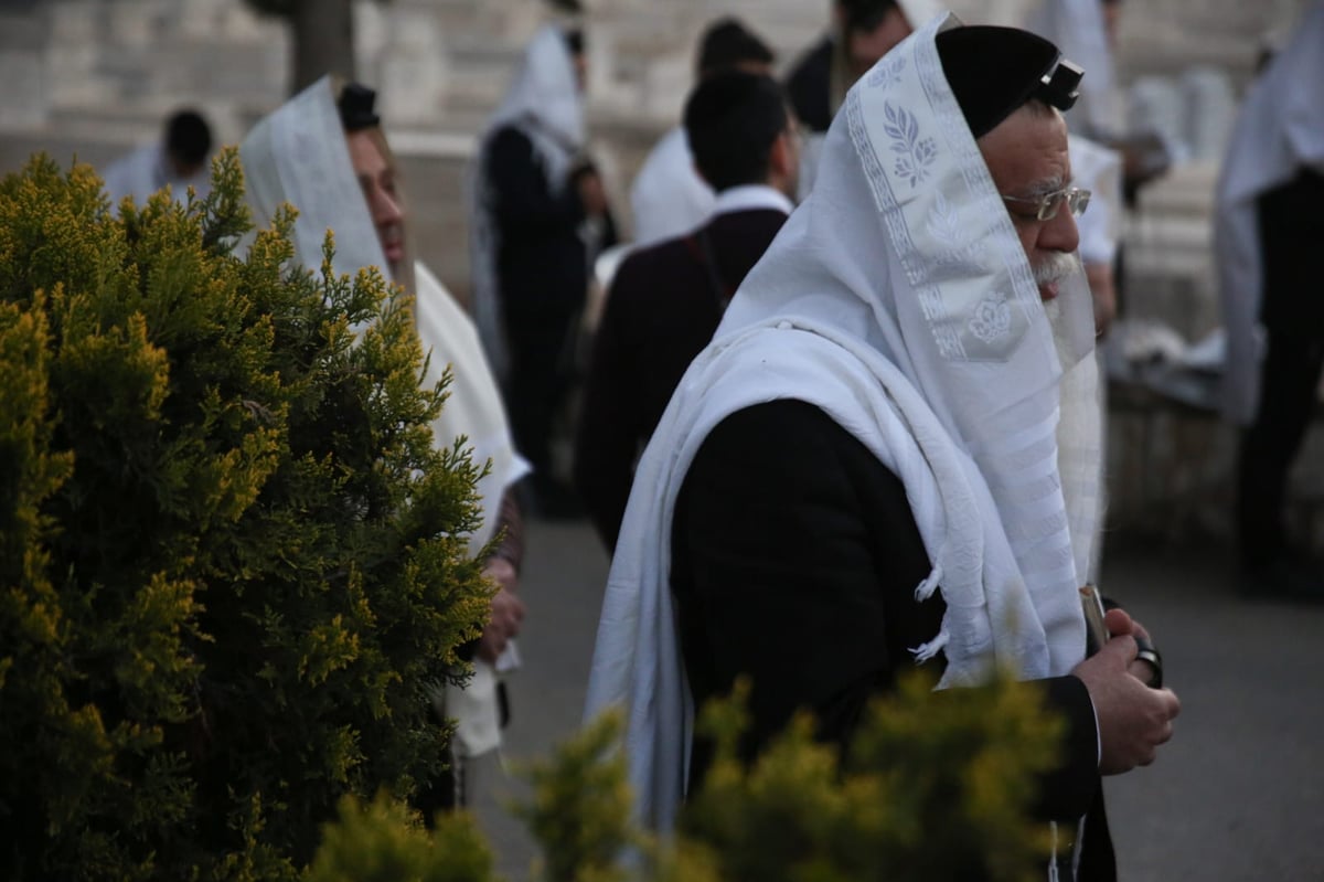 השר אריה דרעי התפלל בקבר מרן והצביע בהר נוף