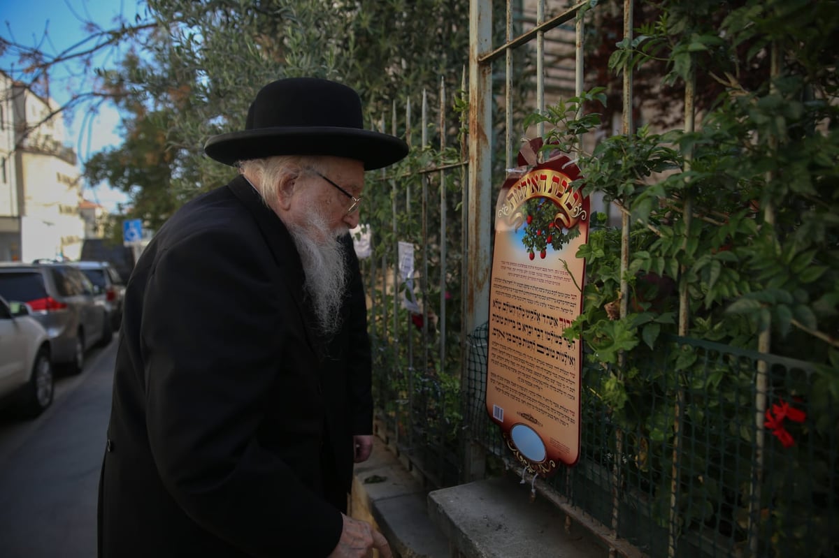 ראש הישיבה הגאון רבי יצחק שיינר בהצבעה וברכת האילנות