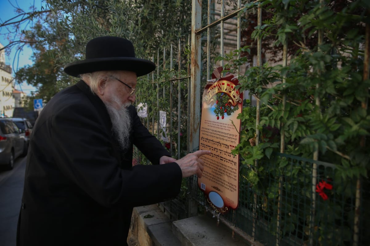 ראש הישיבה הגאון רבי יצחק שיינר בהצבעה וברכת האילנות