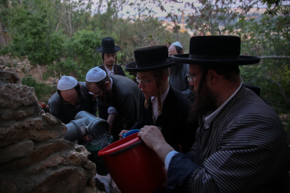 'מים שלנו': הבריסקער'ס ירדו למעיין • תיעוד