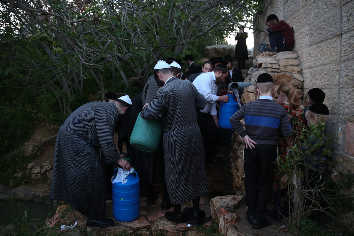 'מים שלנו': הבריסקער'ס ירדו למעיין • תיעוד