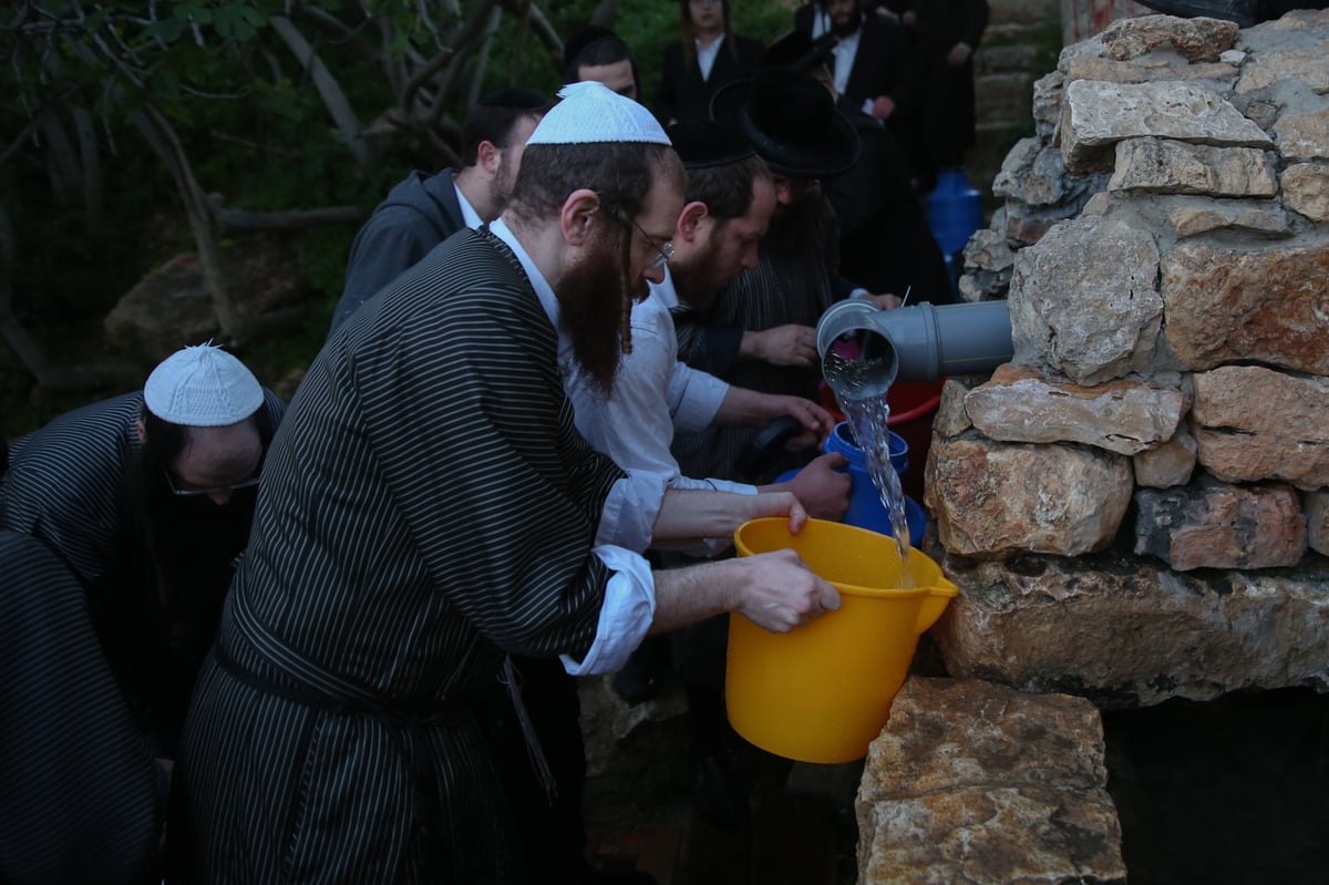 'מים שלנו': הבריסקער'ס ירדו למעיין • תיעוד